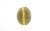 �V���}�i�C�g��L���b�c�A�C�@�t�@�C�u�����C�g�E�L���b�c�A�C