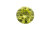 �C�G���[�_�C��