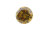 �C�G���[�_�C��