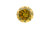 �C�G���[�_�C��