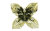 �t�����[�u�����A���g�J�b�g
