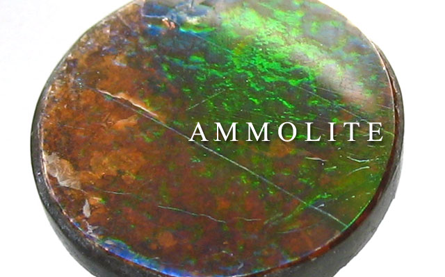 アンモライトルース画像