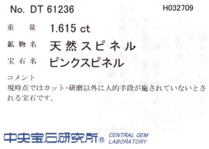 中央宝石研究所ソーティング画像