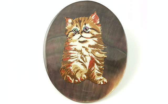 黒蝶貝(黒蝶真珠母貝)画像