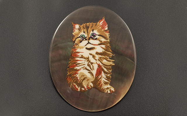 黒蝶貝(黒蝶真珠母貝)画像