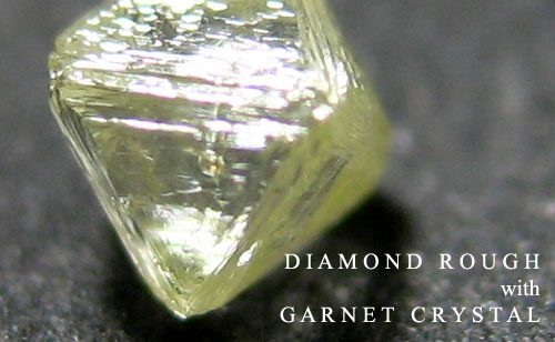 ガーネット結晶入りダイヤモンド原石