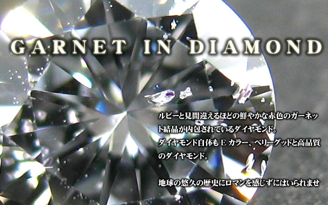 ガーネット入りダイヤモンドルース画像