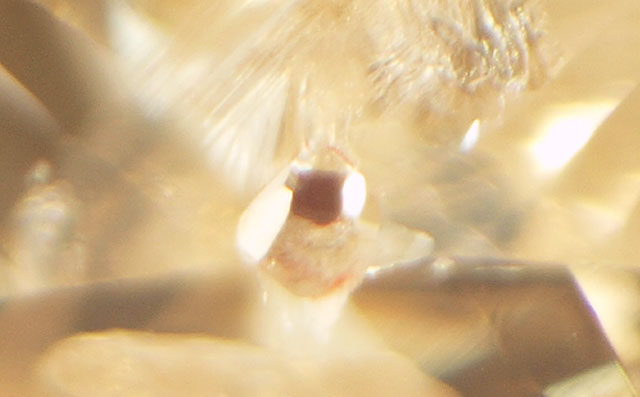 ガーネット入りダイヤモンドルース画像