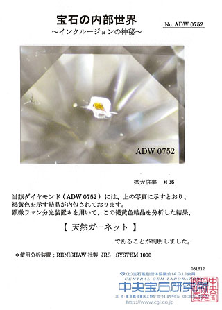 中央宝石研究所宝石の内部世界画像