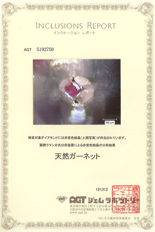 中央宝石研究所宝石の内部世界画像