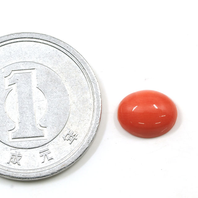 サンゴ ルース (裸石) 1.15ct 【 3月 誕生石 】 ( さんご 珊瑚