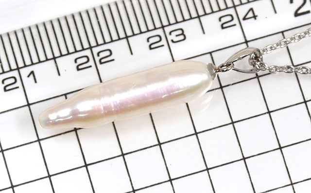 犬の歯型の真珠画像