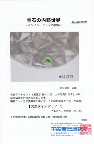 中央宝石研究所宝石の内部世界画像