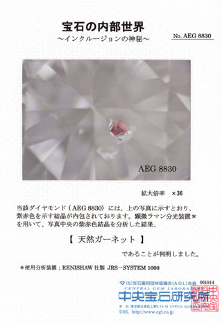 中央宝石研究所宝石の内部世界画像