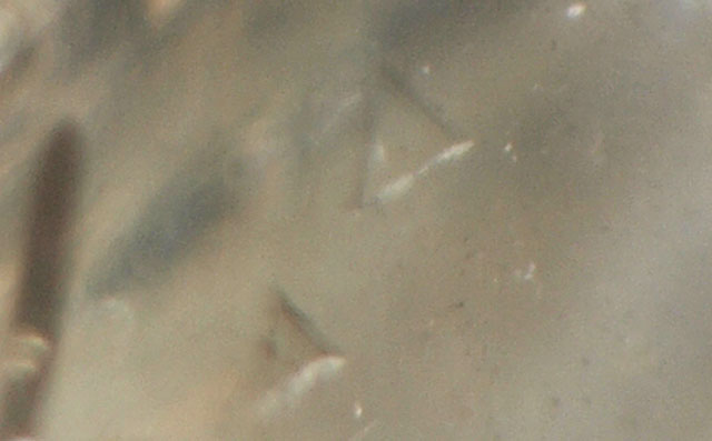 ダイヤモンド原石ルース画像