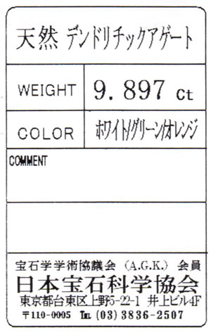 デンドリチック・アゲート ルース(裸石) 9.897ct (デン