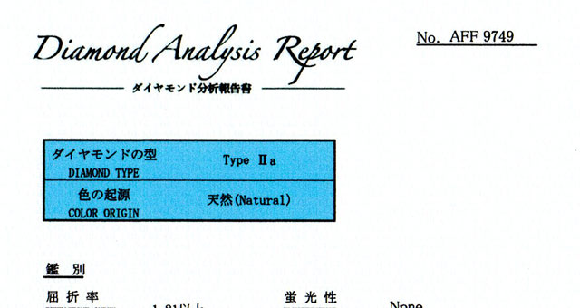 レポート画像