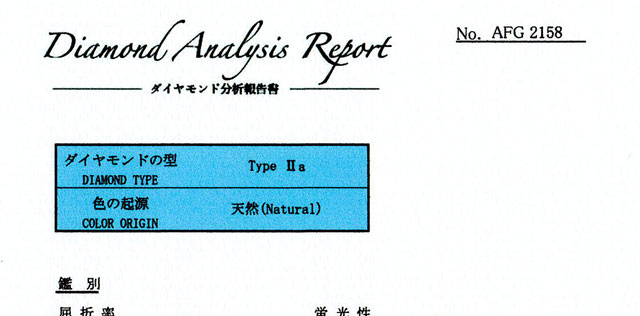 レポート画像