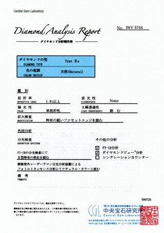 レポート画像