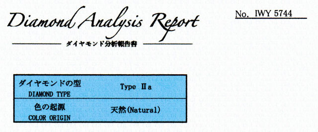 レポート画像