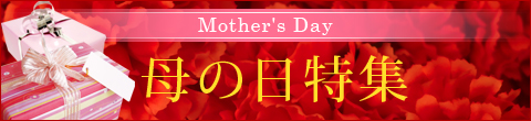 母の日のギフト/贈り物/プレゼント