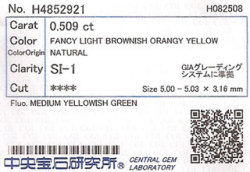 ソーティング袋画像