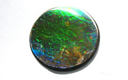 アンモライトルース画像