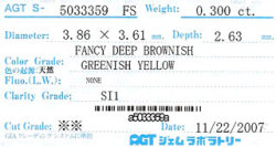 AGTジェムラボラトリーソーティング画像