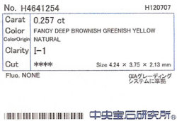 中央宝石研究所ソーティング画像