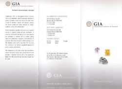 GIAレポート表紙画像