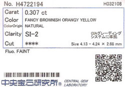 中央宝石研究所ソーティング画像