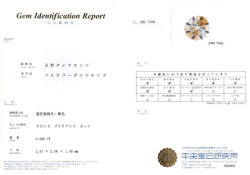 中央宝石研究所鑑別書画像