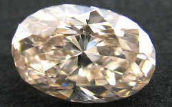 オレンジダイヤモンドルース画像