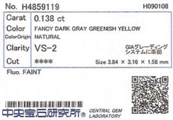 中央宝石研究所ソーティング画像