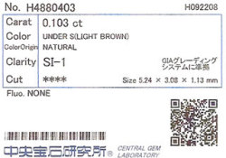 中央宝石研究所ソーティング画像