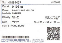 中央宝石研究所ソーティング画像