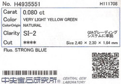 中央宝石研究所ソーティング画像