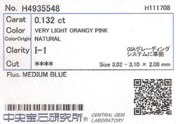 中央宝石研究所ソーティング袋