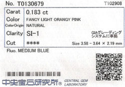 中央宝石研究所ソーティング画像