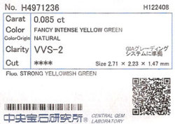 中央宝石研究所ソーティング画像