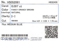 中央宝石研究所ソーティング画像