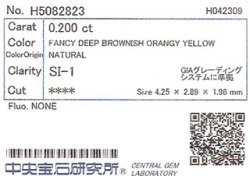 中央宝石研究所ソーティング画像