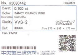 中央宝石研究所ソーティング画像