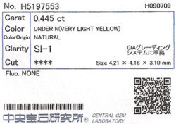 中央宝石研究所ソーティング