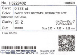 中央宝石研究所ソーティング