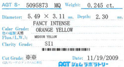 AGTジェムラボラトリーソーティング画像