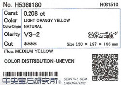 中央宝石研究所ソーティング画像