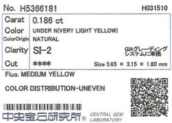 中央宝石研究所ソーティング画像