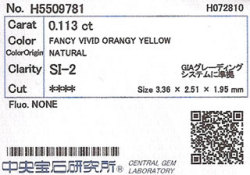 中央宝石研究所ソーティング画像