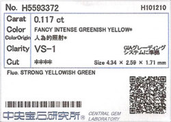 中央宝石研究所ソーティング袋画像